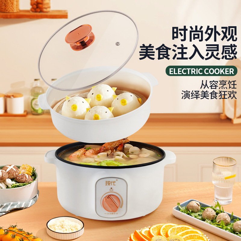 Multifunctional Mini Electric  - Kitchen Appliances Cooking 评论和价格