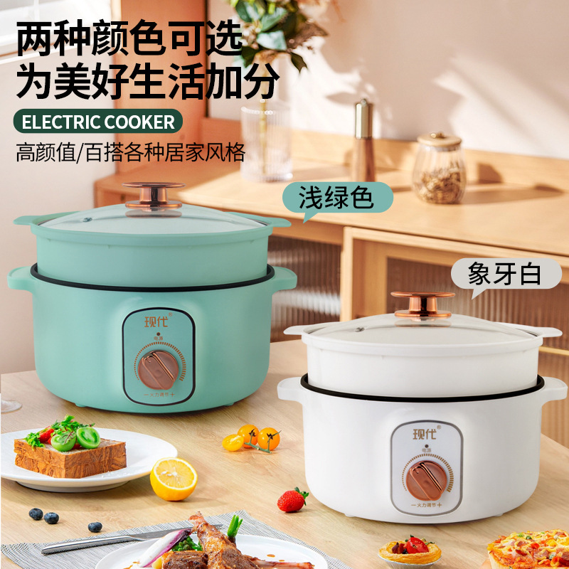 Multifunctional Mini Electric  - Kitchen Appliances Cooking 评论和价格