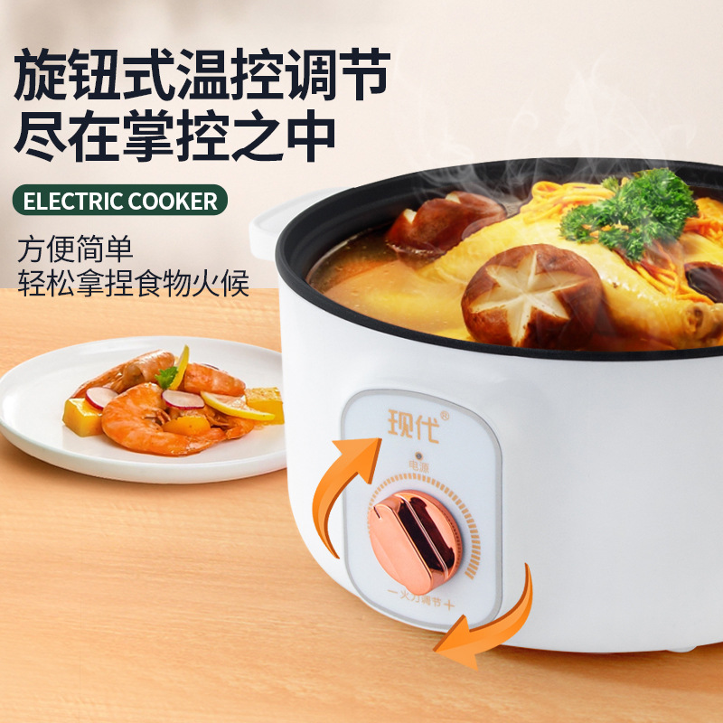 Multifunctional Mini Electric  - Kitchen Appliances Cooking 评论和价格
